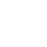 Action Doors logo